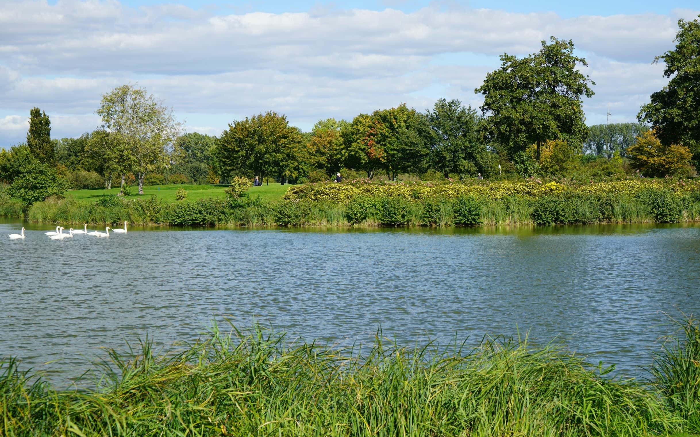 2016.04.18-060-2436×1522